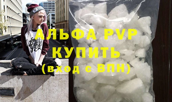 PSILOCYBIN Медвежьегорск