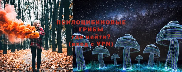 PSILOCYBIN Медвежьегорск