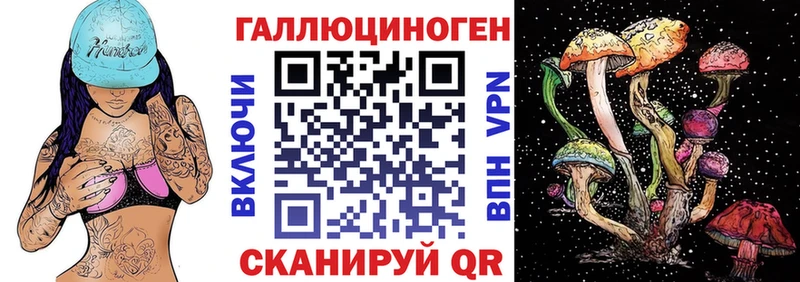 Купить закладки  Краснослободск  Псилоцибиновые грибы MAGIC MUSHROOMS 